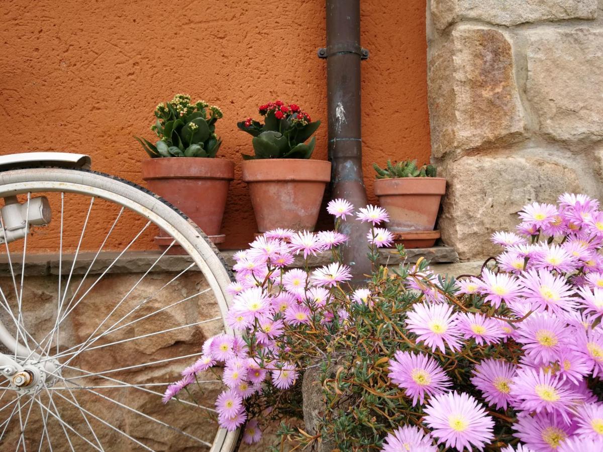 El Mirador De Tono , Alquiler Integro Ferienhaus *