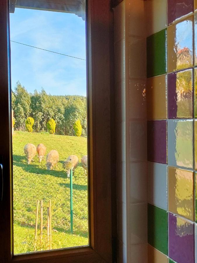 El Mirador De Tono , Alquiler Integro Ferienhaus *