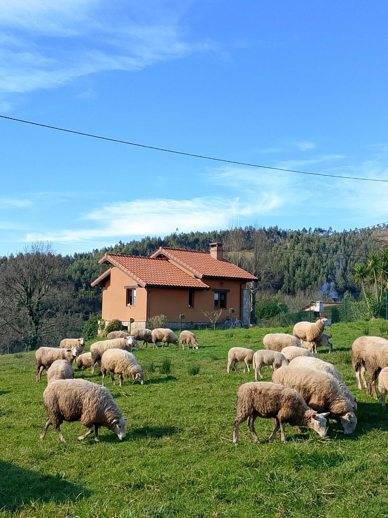 El Mirador De Tono , Alquiler Integro Ferienhaus *