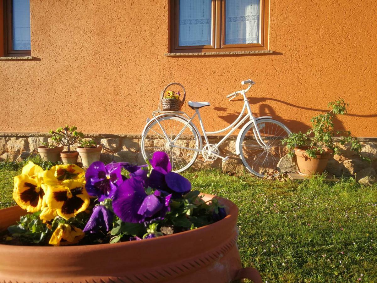 Ferienhaus El Mirador De Tono , Alquiler Integro Viono